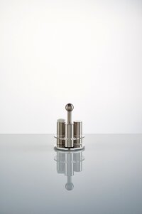 Salt pepper toothpick