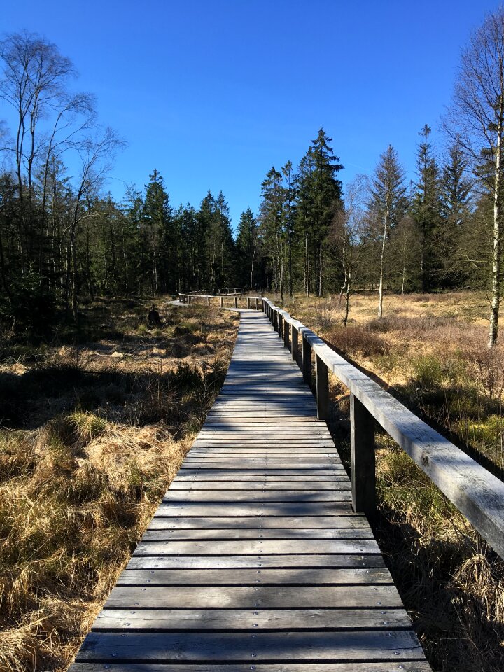 Nature reserve landscape moorland