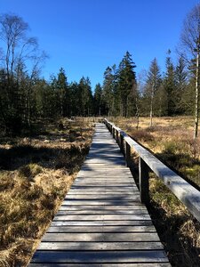Nature reserve landscape moorland