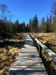 Nature reserve landscape moorland photo