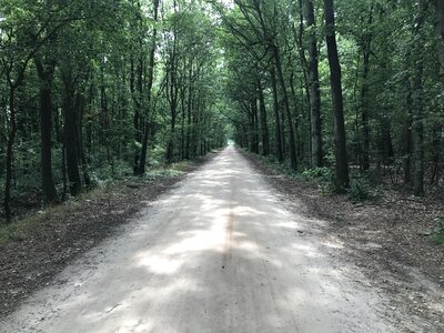 Nature hiking footpath