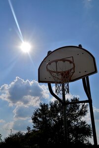 Texas basketball basket photo