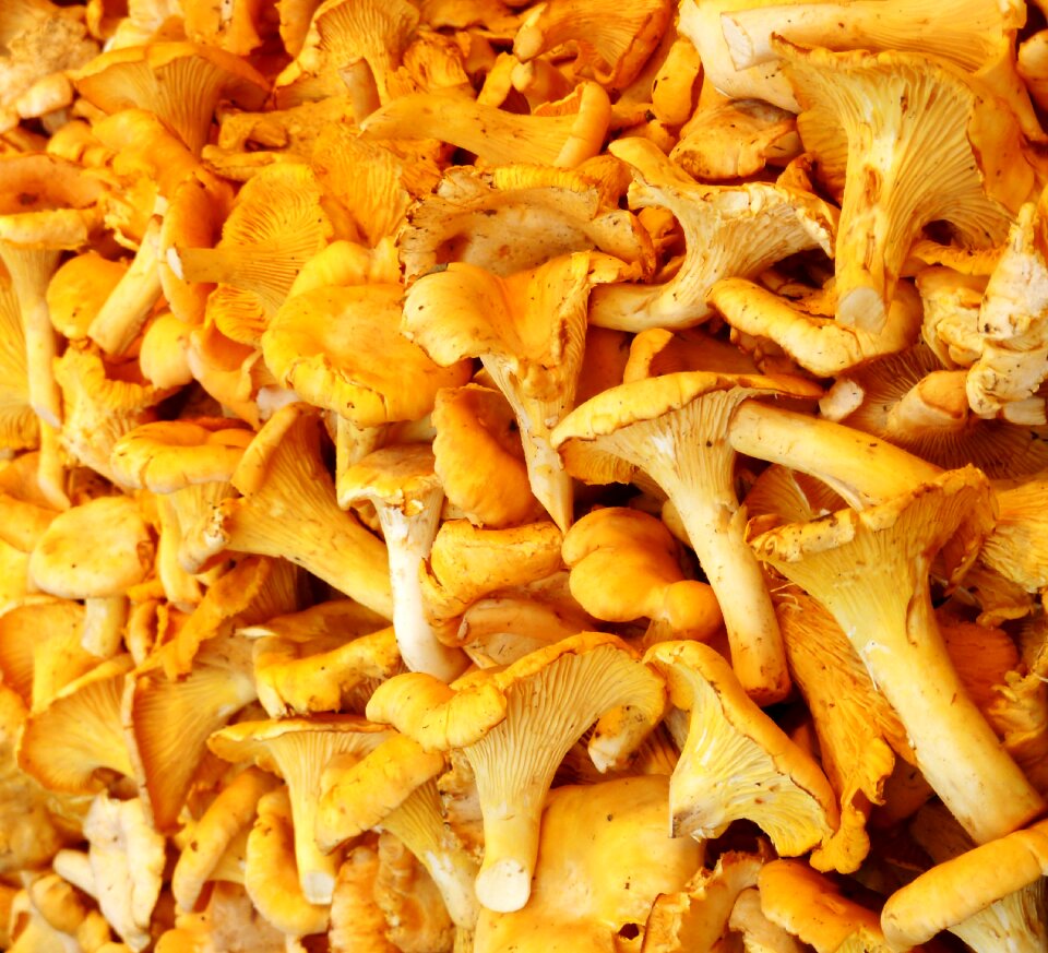 Food market yellow