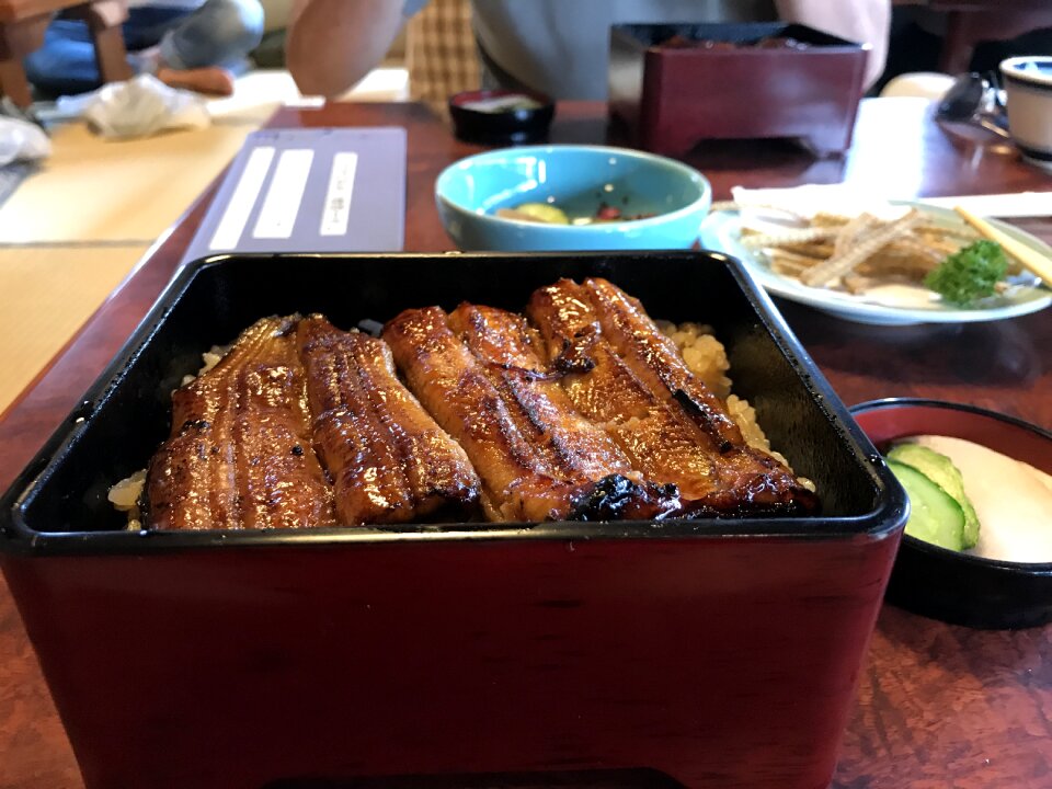 Japan grilled