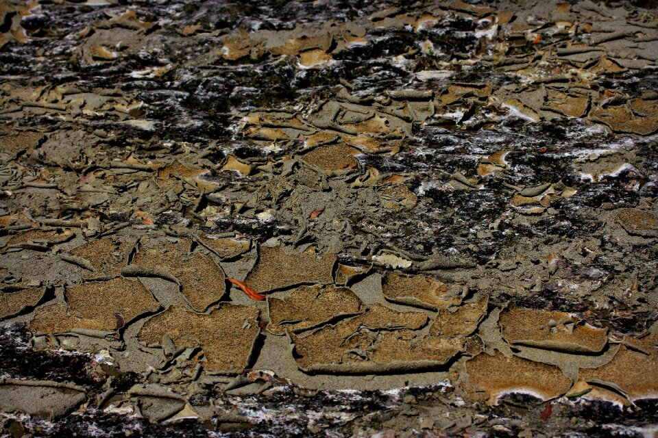 Arid cracked drought