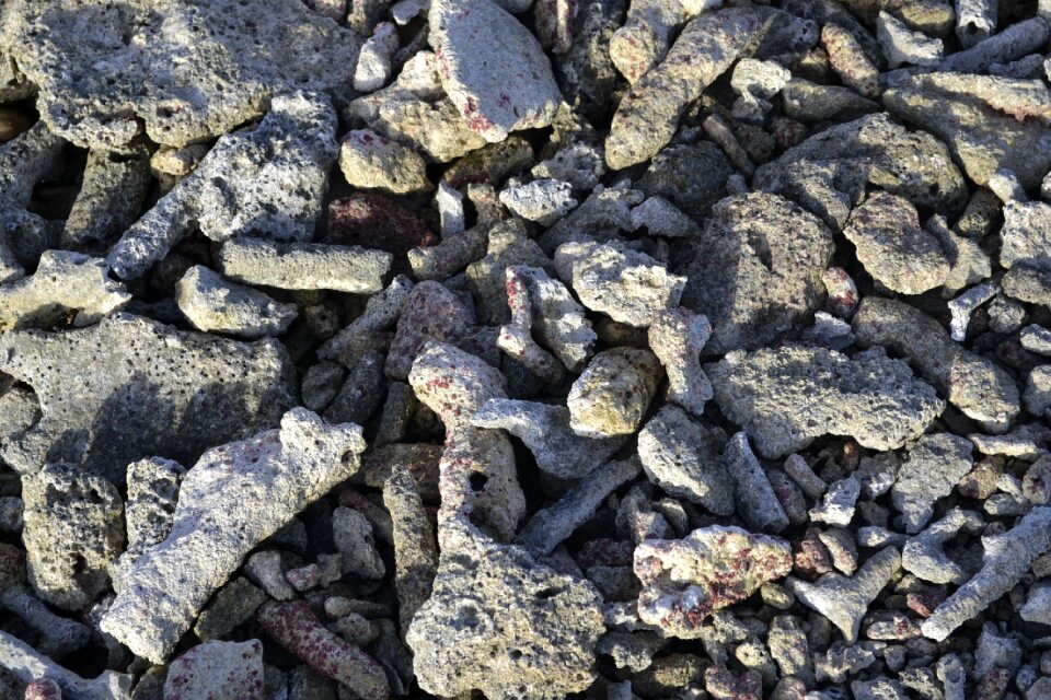 Stone coast nature