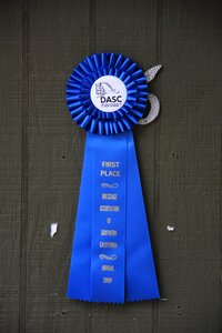 Horse show ribbon award