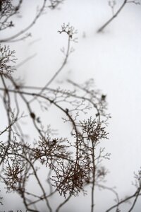 White nature landscape