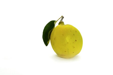 Yellow autumn vitamins