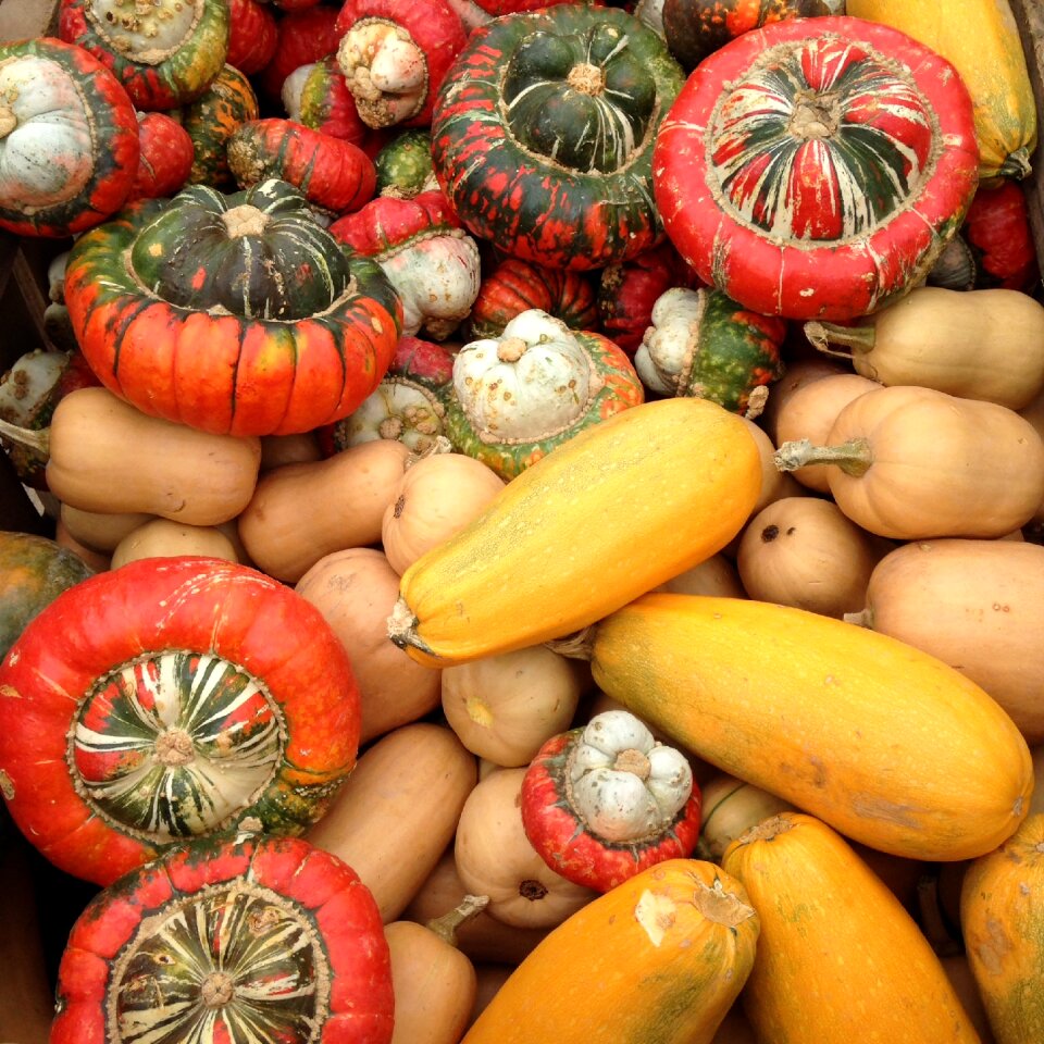 Orange november october