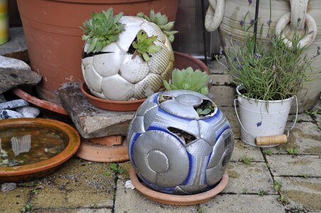 Football plant upcycling
