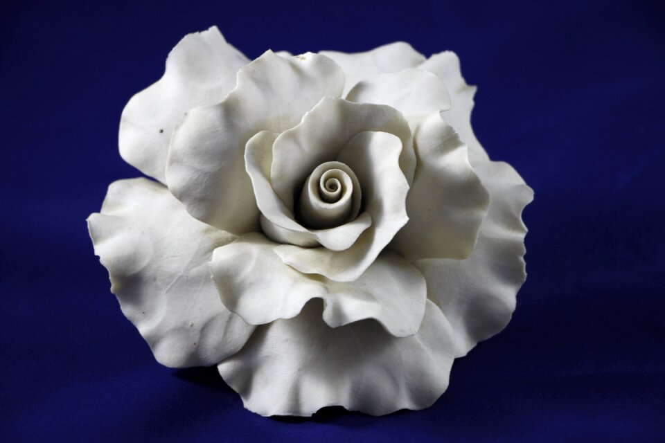 Ornament romantic floristry