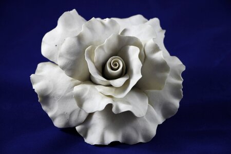 Ornament romantic floristry