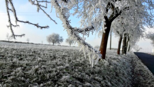 Winter snow landscape