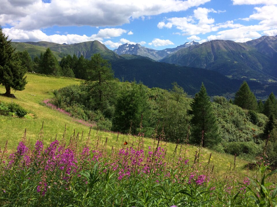 Switzerland mountains alp