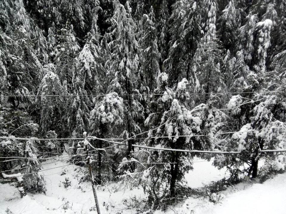 Flow in shimla