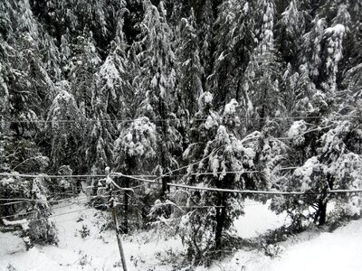 Flow in shimla