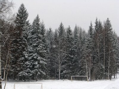 Forest silence gate