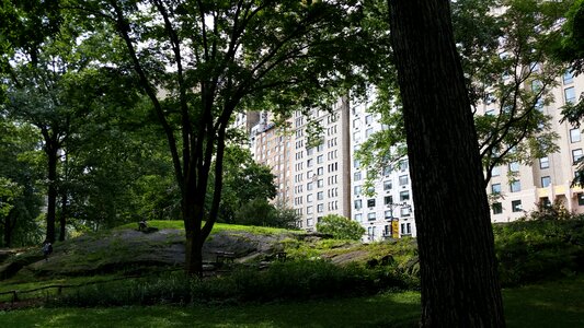 Usa manhattan central park photo