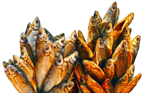 Dörr fish dried fish food photo