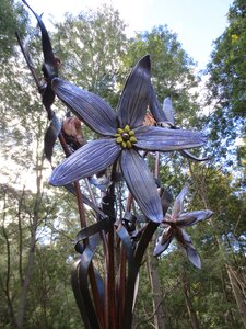 Metal purple lenah valley