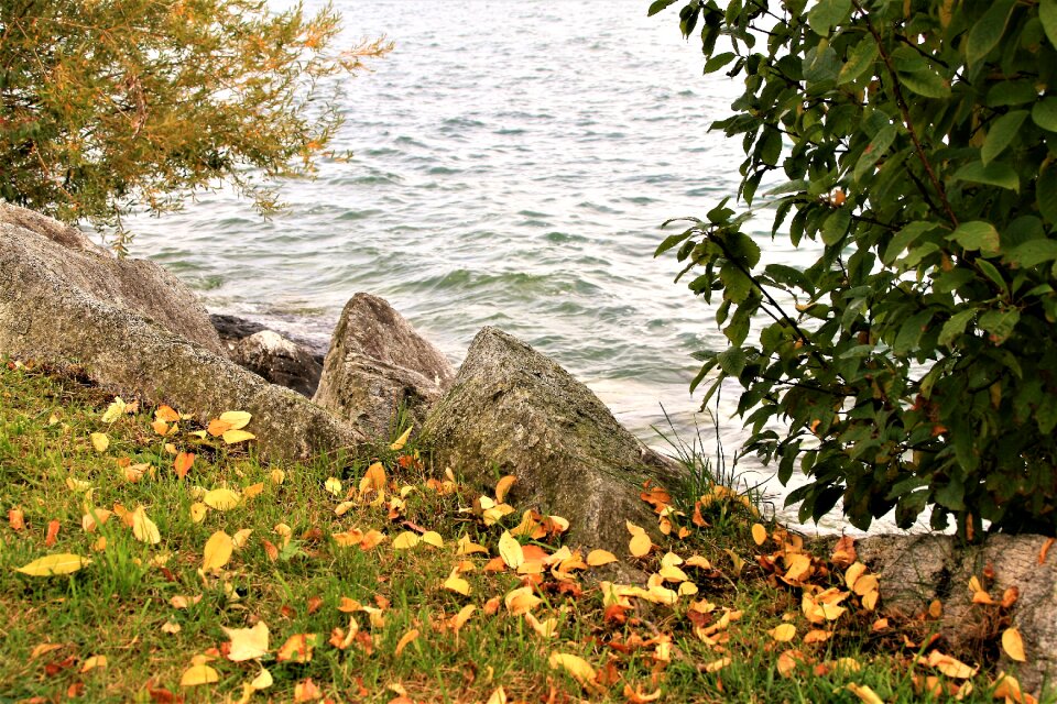 Cloudy bodensee water