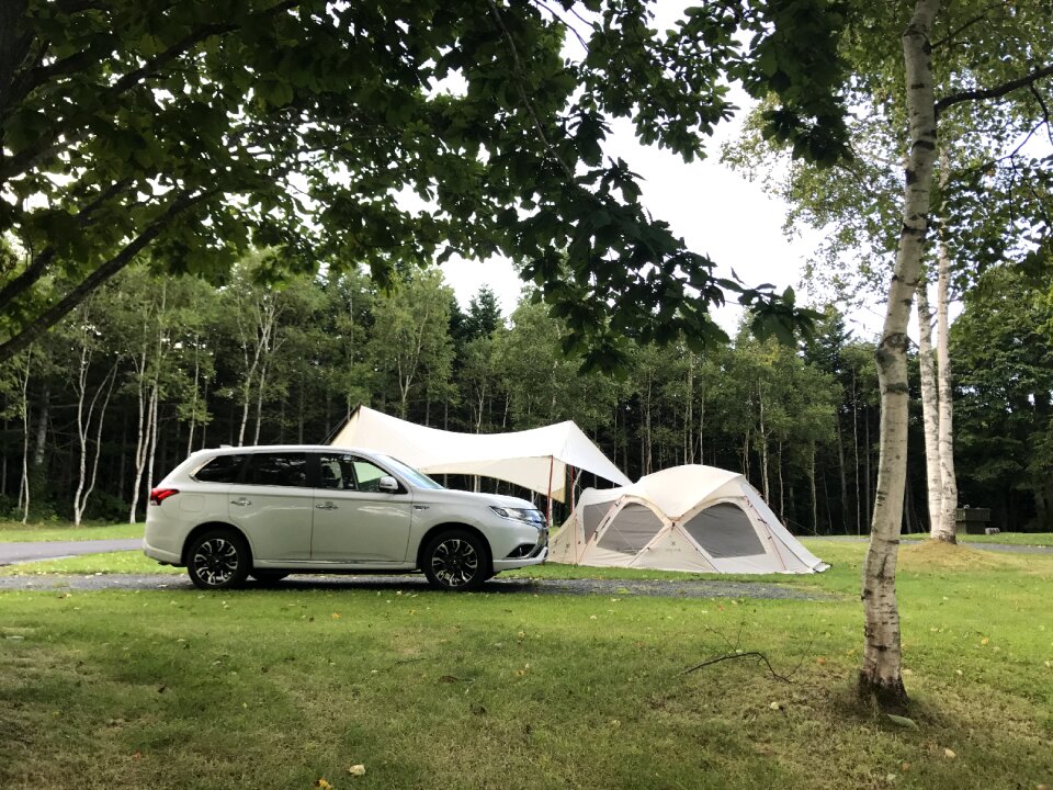 Outdoors dome woods