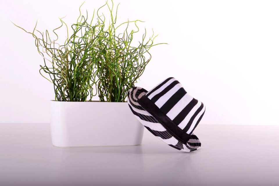 Grow garden nature