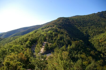 Road nature landscape