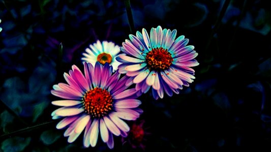 Nature color colorful