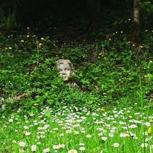Meadow head forest