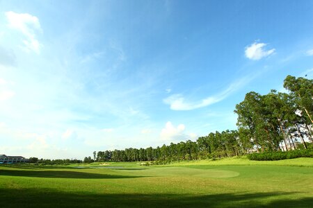 Golf course green space landscape