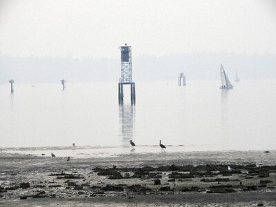 Marine nature sailing