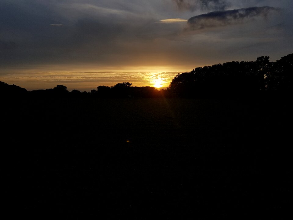 Sun nature autumn