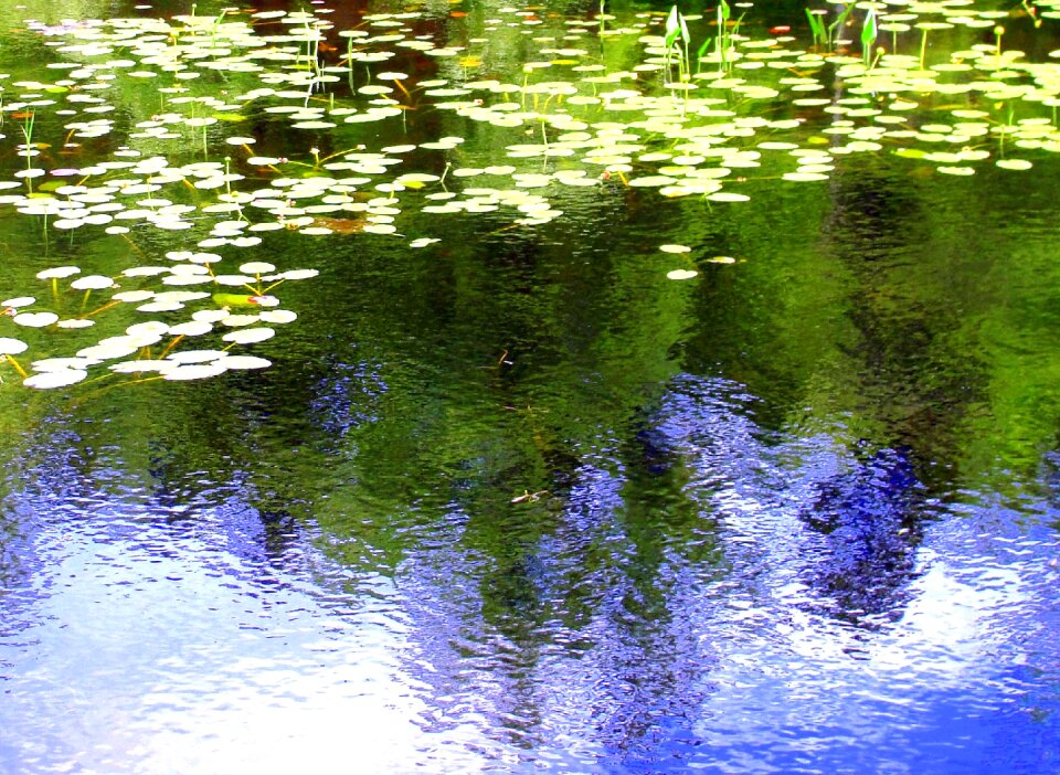 Ripples background