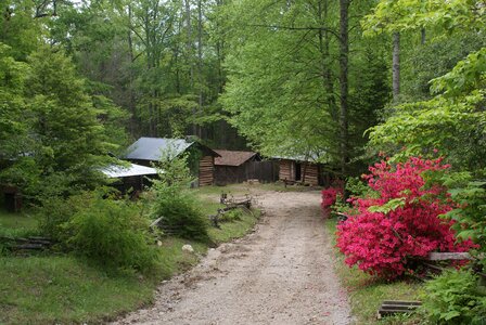 Ga county cabin photo