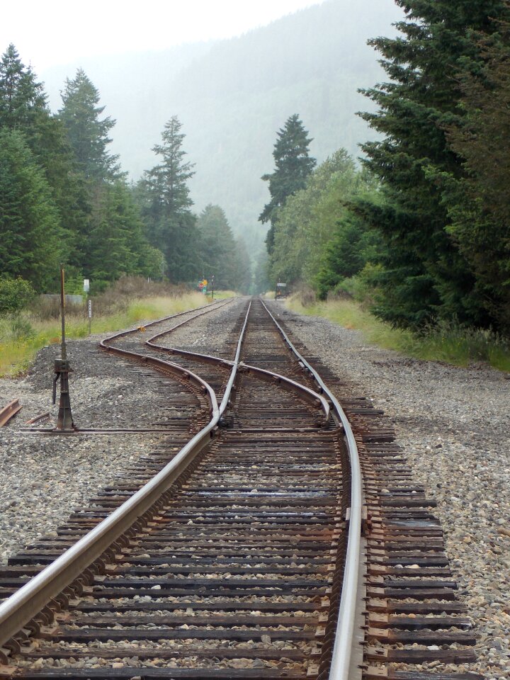 Switch perspective track