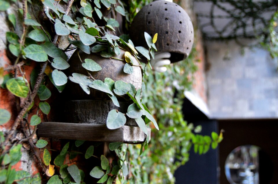 Green natural gardening