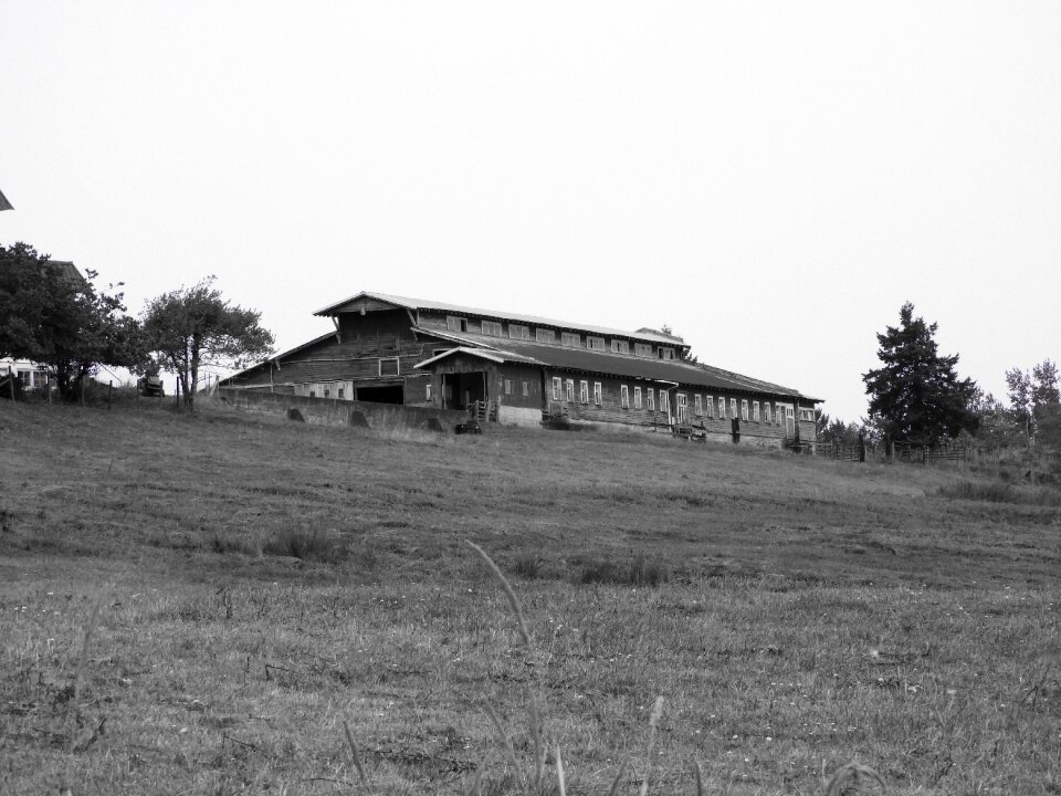 Rural field countryside