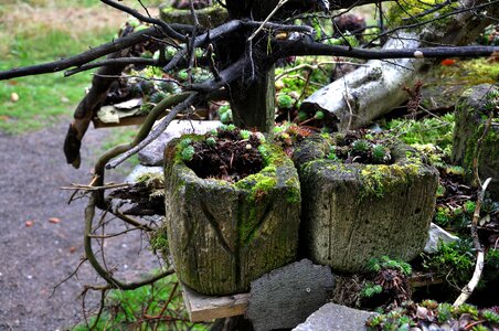 Overgrown fouling landesgartenschau bad lippspringe photo