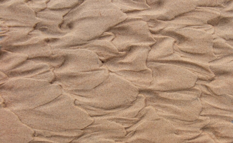 Nature pattern natural