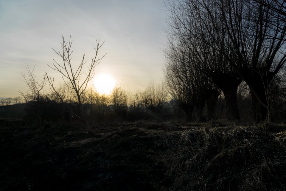 Grass fire twilight