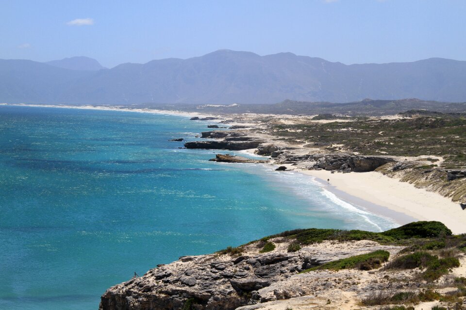Surrounding the estuary of lake s lucia south africa