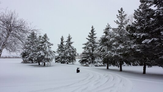 Scenery snow