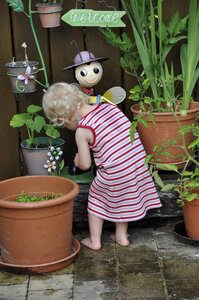 Terrace play plant