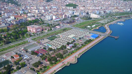 Mastiff the first step city