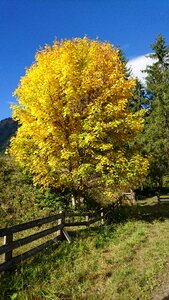 Autumn mood nature lech valley