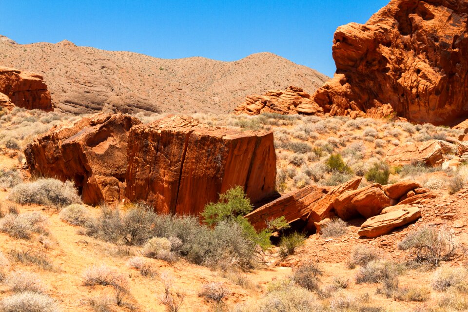 Landscape drought dirt