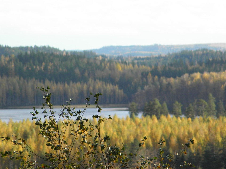 Finnish savonlinna nature