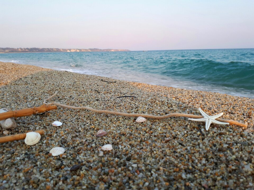 Shells sand